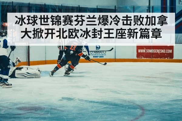 ice hockey match action