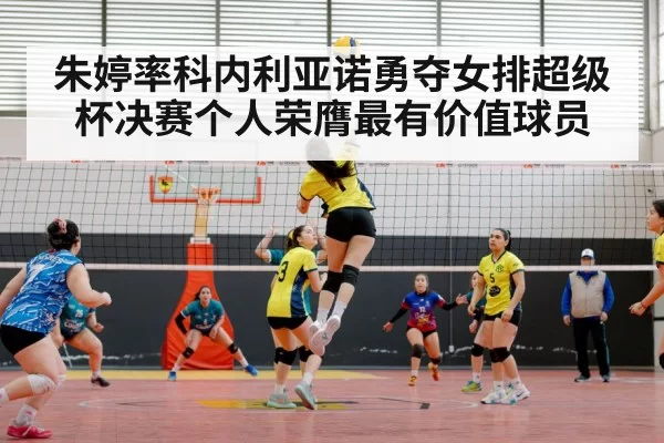volleyball match action
